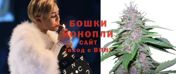 сатива Бугульма