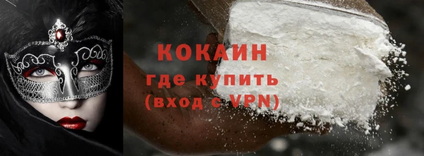 МДПВ Бородино