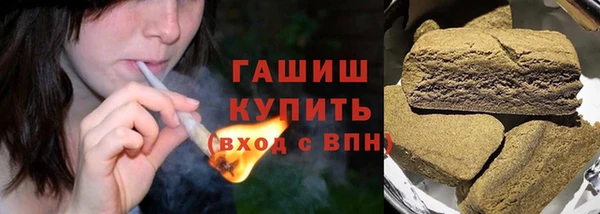 МДПВ Бородино