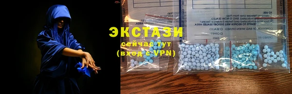 МДПВ Бородино