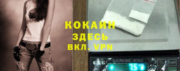 МДПВ Бородино