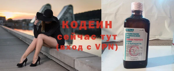 МДПВ Бородино