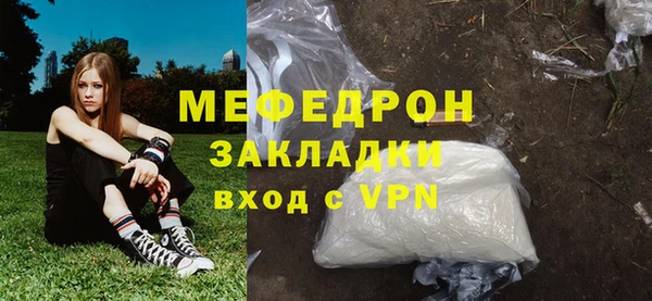 МДПВ Бородино