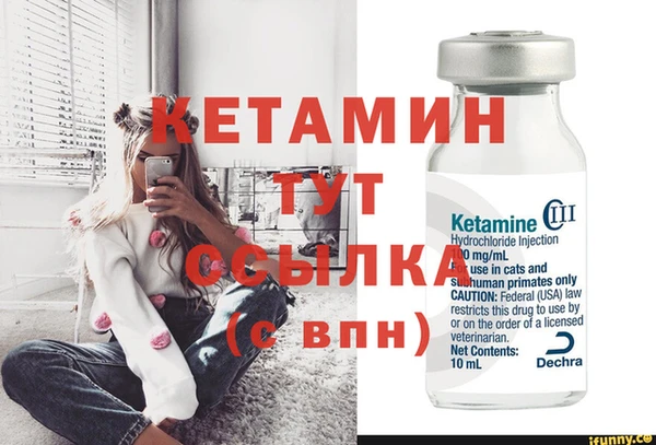 сатива Бугульма