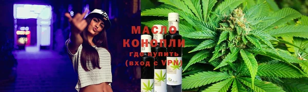 МДПВ Бородино